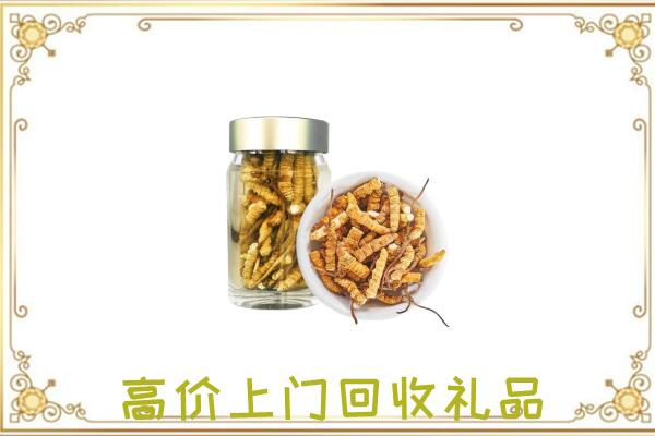 卢龙周边回收虫草